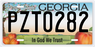 GA license plate PZT0282