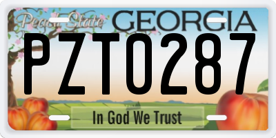 GA license plate PZT0287