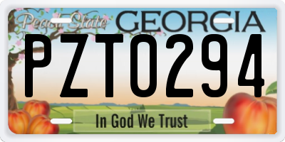 GA license plate PZT0294