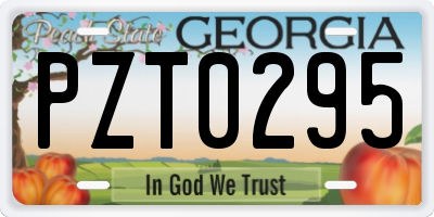 GA license plate PZT0295