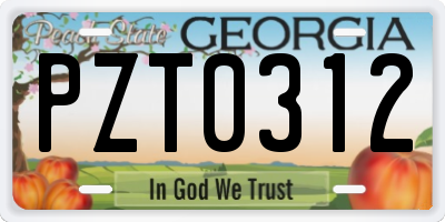 GA license plate PZT0312