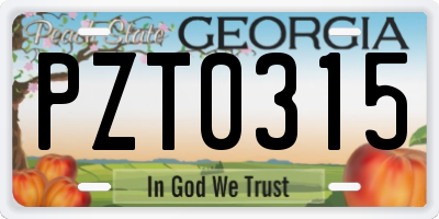 GA license plate PZT0315