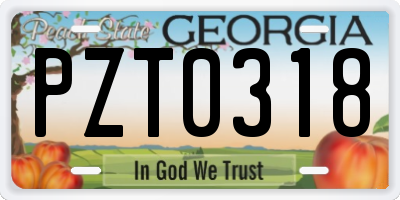 GA license plate PZT0318