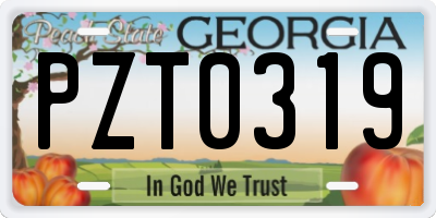 GA license plate PZT0319