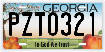 GA license plate PZT0321