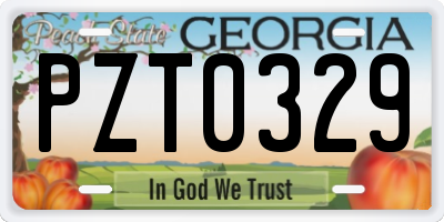 GA license plate PZT0329
