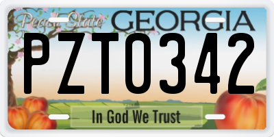 GA license plate PZT0342