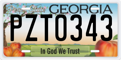 GA license plate PZT0343