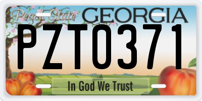 GA license plate PZT0371