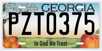 GA license plate PZT0375