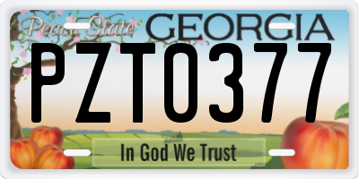 GA license plate PZT0377