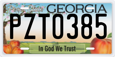 GA license plate PZT0385