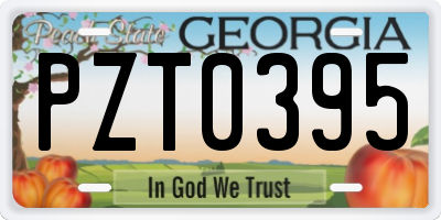 GA license plate PZT0395