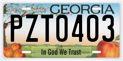 GA license plate PZT0403