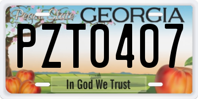 GA license plate PZT0407