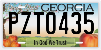 GA license plate PZT0435