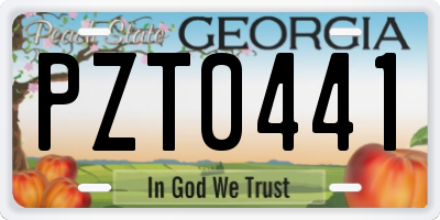 GA license plate PZT0441