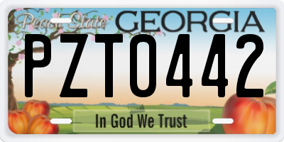 GA license plate PZT0442