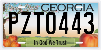 GA license plate PZT0443