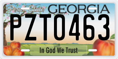 GA license plate PZT0463