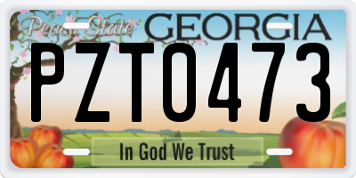 GA license plate PZT0473