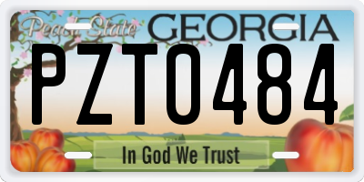 GA license plate PZT0484