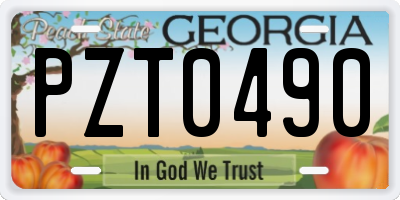 GA license plate PZT0490