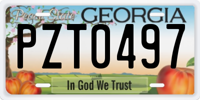 GA license plate PZT0497