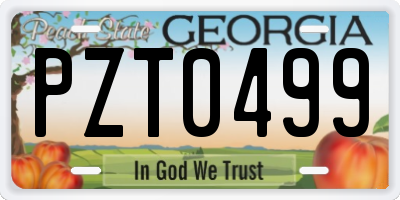 GA license plate PZT0499