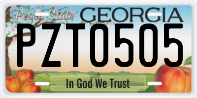 GA license plate PZT0505