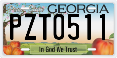 GA license plate PZT0511