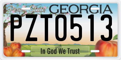 GA license plate PZT0513