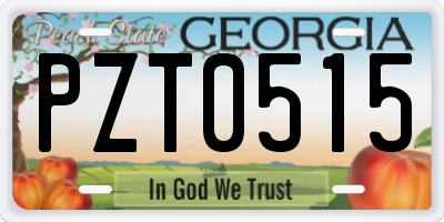 GA license plate PZT0515