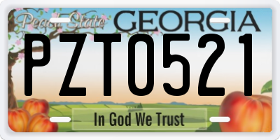 GA license plate PZT0521