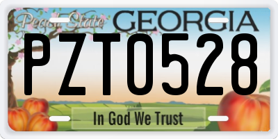 GA license plate PZT0528