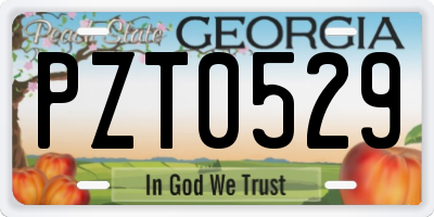 GA license plate PZT0529