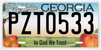 GA license plate PZT0533