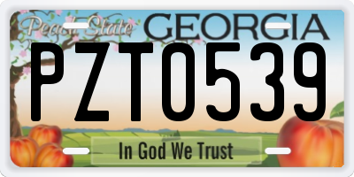 GA license plate PZT0539