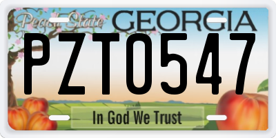GA license plate PZT0547