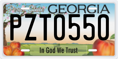 GA license plate PZT0550