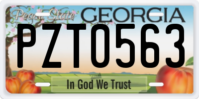 GA license plate PZT0563