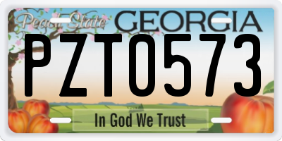 GA license plate PZT0573