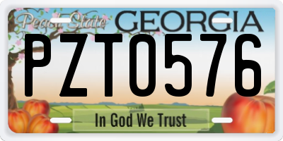 GA license plate PZT0576