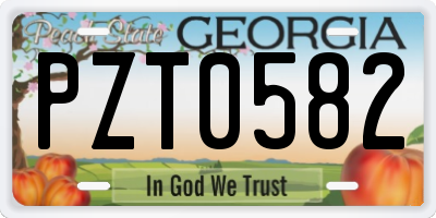 GA license plate PZT0582