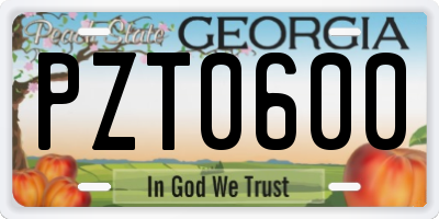 GA license plate PZT0600