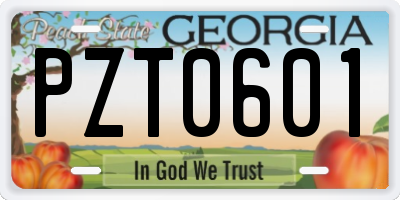 GA license plate PZT0601