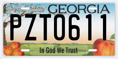 GA license plate PZT0611