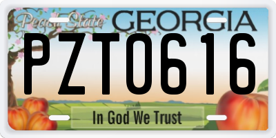 GA license plate PZT0616