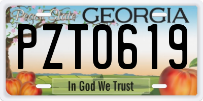 GA license plate PZT0619