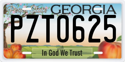 GA license plate PZT0625